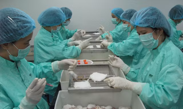 3 đội công tác đặc biệt 'chi viện' dập dịch COVID -19 ở Đà Nẵng