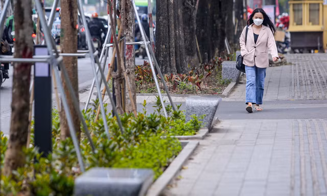 Cận cảnh hàng ghế đá dưới cây hoa sữa cổ thụ trên đường đẹp nhất Hà Nội