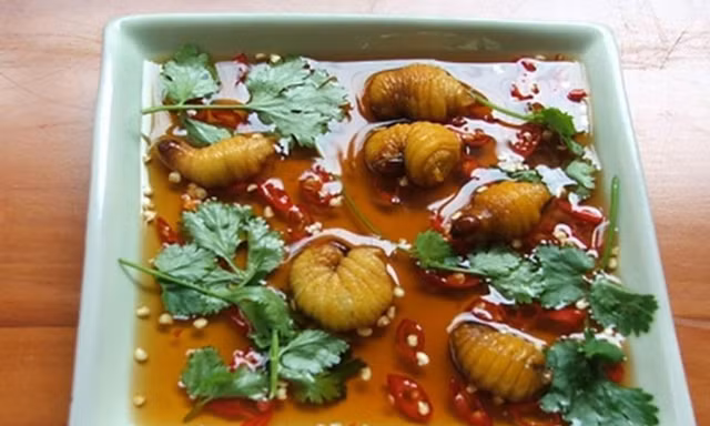 Những loại sâu bọ 'độc nhất vô nhị' đắt đỏ, thực khách săn lùng 