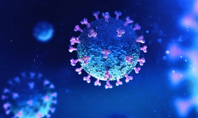Hình ảnh virus corona. (Ảnh: Shuttlestock)