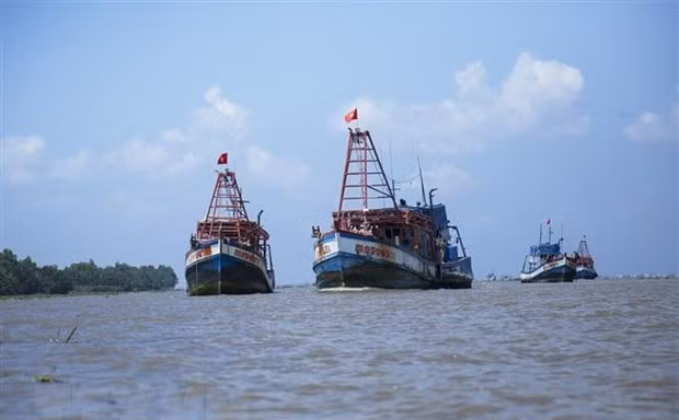 Việt Nam được hưởng các quyền lợi hợp pháp trên biển theo quy định của UNCLOS 1982