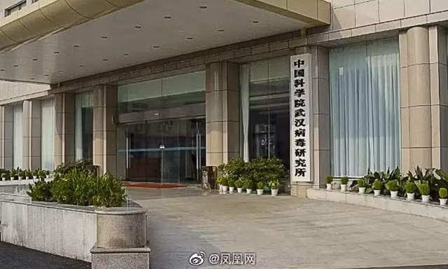 Viện nghiên cứu virus Vũ Hán. (Ảnh: Weibo)