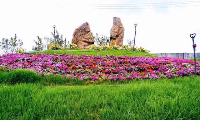 Hàng trăm loại hoa được trồng tại thung lũng hoa Bái Đính. Ảnh: Minh Đức