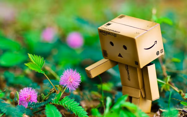 Thế giới cảm xúc của robot Danbo