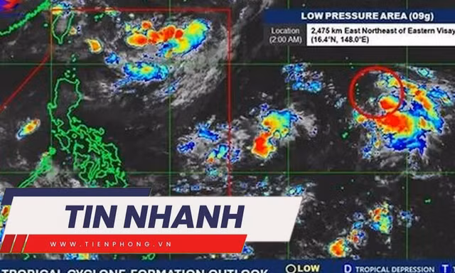 TIN NHANH: Áp thấp gần Philippines khả năng cao mạnh lên trong 24 giờ tới