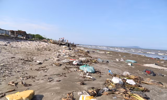 Bèo tây, rác thải bủa vây bờ biển Nghệ An