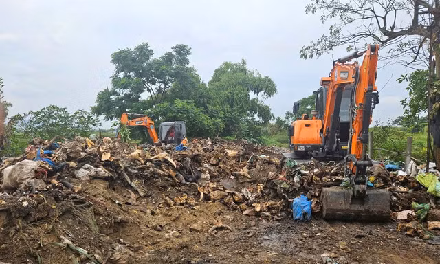Nghệ An: Thu dọn 'nghĩa địa đầu bò'