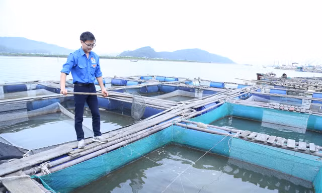 Bí thư chi đoàn là đảng viên trẻ xuất sắc, thu trăm triệu mỗi năm nhờ nuôi cá