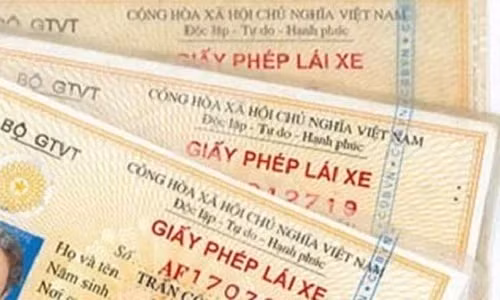 Nghệ An phát hiện hơn 40 tài xế dùng giấy phép lái xe giả