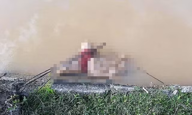 Phát hiện thi thể bé gái đang phân hủy trên kênh thủy lợi ở Nghệ An