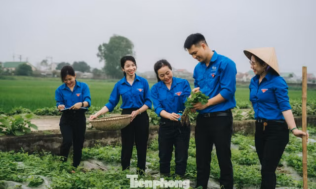 Hỗ trợ vốn vay ưu đãi phát triển mô hình kinh tế, sản phẩm OCOP ở 248 xã biên giới