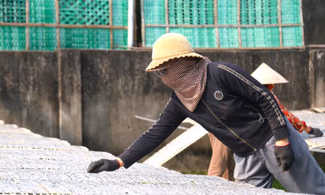 Đơn hàng tăng gấp 3, người dân làng bánh đa 'chạy đua' với Tết