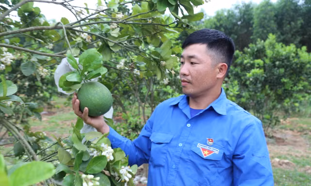Mở trang trại thu hàng trăm triệu đồng