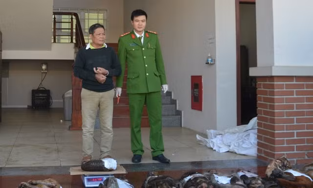 Bắt đối tượng mua bán cá thể beo đốm, khỉ quý hiếm