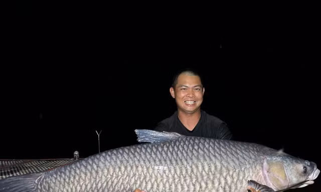 Đại gia chi 50 triệu đồng mua 'thủy quái' trắm đen hơn 40 kg 