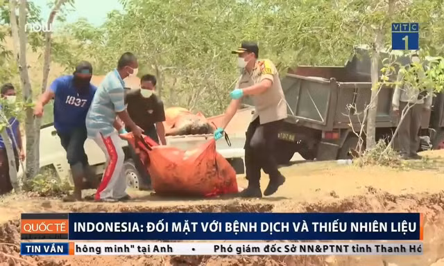 Chôn tập thể 1300 nạn nhân sau thảm họa kép, Indonesia đối mặt ô nhiễm