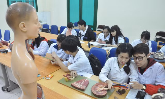 Không nhất thiết phải quy định đào tạo bác sĩ chuyên khoa, bác sĩ nội trú trong Luật GDĐH?