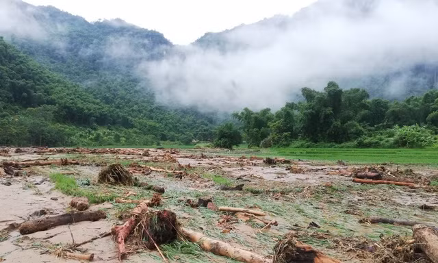 Lào đề nghị giúp đỡ tìm kiếm 7 người mất tích do mưa lũ