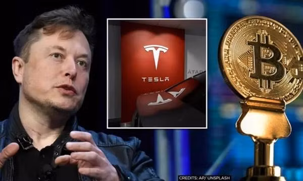 Sự "mong manh" của tiền ảo: Elon Musk vừa đăng bài, chỉ 45 phút sau Bitcoin rớt giá mạnh