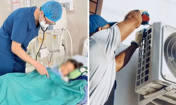 Rắn bò từ điều hòa ra cắn bé gái: Tại sao rắn hay chui vào điều hòa, làm sao ngăn chặn?