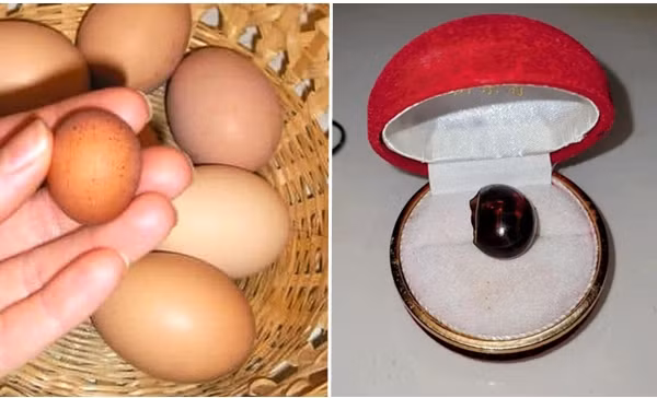 Quả trứng luộc bị bỏ quên suốt 20 năm bất ngờ trở thành "viên ngọc" đắt giá