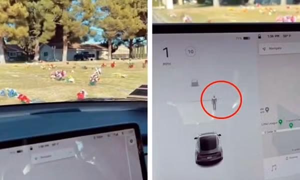 Chủ xe Tesla phát hoảng khi xe báo có người đi bộ ở gần dù lái qua nghĩa trang không có ai