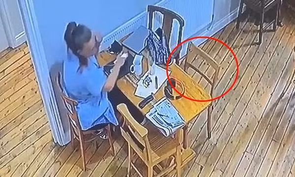 Chiếc ghế tự xê dịch trong một quán ăn ở xứ Wales: Chủ quán lo sợ, dân mạng nói gì?