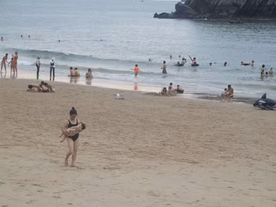 Dự án cảng biển tỷ đô có gây ô nhiễm?