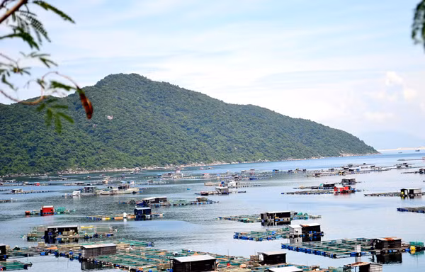 Tỉnh thừa nhận sai sót