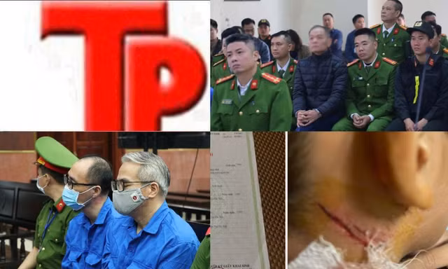 Bản tin Hình sự: Triệt phá ổ nhóm trộm cắp 30 con chó mỗi ngày