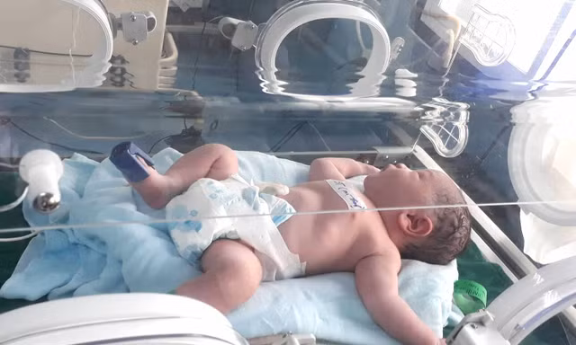 Bé trai kháu khỉnh đã được chào đời