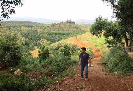 Buông lỏng quản lý rừng, Ban thường vụ Huyện ủy Đắk G’long bị kỷ luật