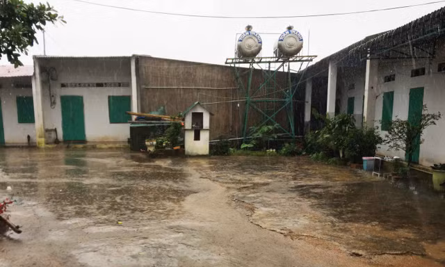 Khu nhà với nhiều phòng trọ được bà Hà thuê lại