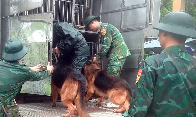 Sử dụng chó nghiệp vụ của Biên phòng tìm kiếm người mất tích tại Làng Nủ