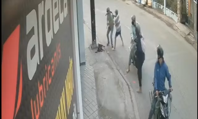 Chủ bất lực nhìn 'cẩu tặc' chích điện bắt chó ngay trước mắt 