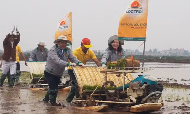 Lãnh đạo tỉnh Ninh Bình lội ruộng cùng bà con nông dân.