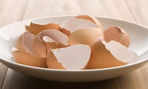 Lợi ích vô cùng bất ngờ khi ăn vỏ trứng