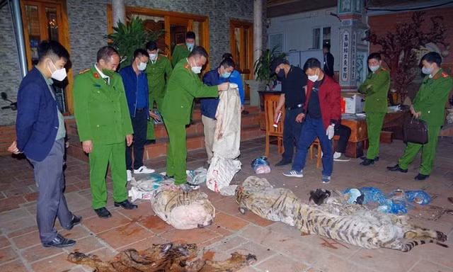 Phát hiện Hổ đông lạnh trong nhà một chủ tịch xã 