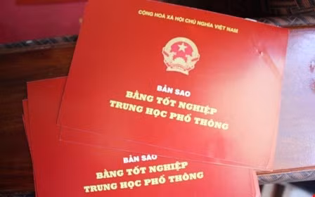 Cách chức một chủ tịch xã dùng bằng giả