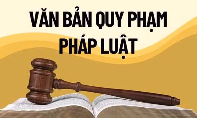 Người đứng đầu sẽ bị xử lý nếu trình, ban hành văn bản quy phạm pháp luật trái luật