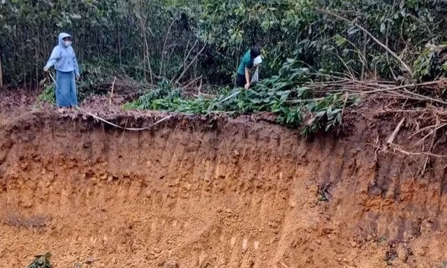 Hà Nội: Đề nghị công an làm rõ vụ khai thác trộm đất, hủy hoại tài sản ở Ba Vì