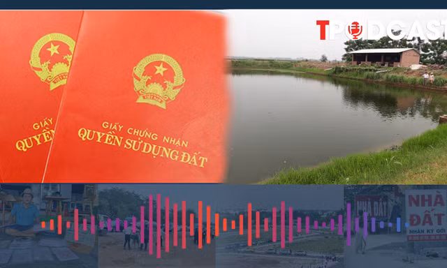 Cách làm sổ đỏ cho đất ao mới nhất