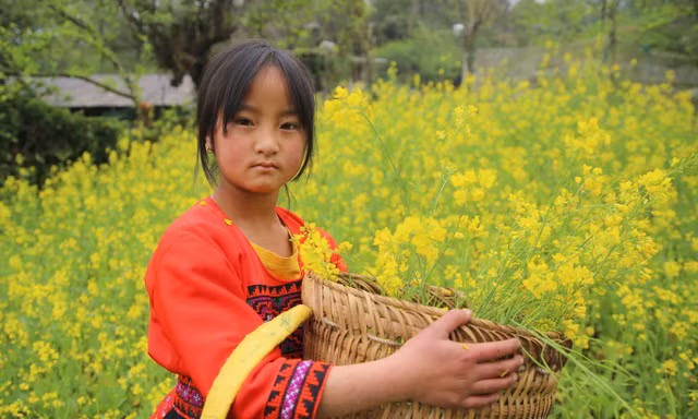 Say đắm cảnh đẹp Lai Châu lúc giao mùa