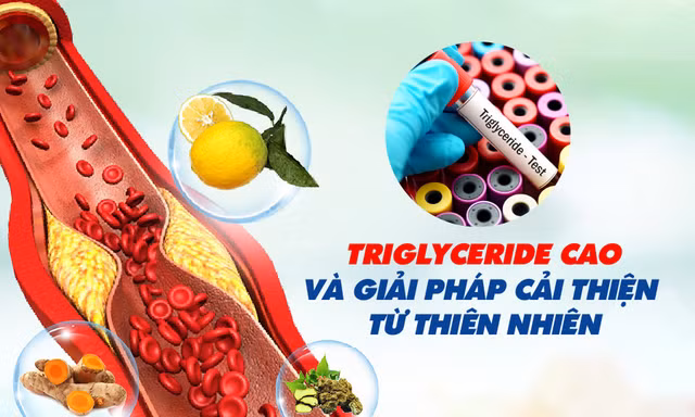 Triglyceride cao và giải pháp cải thiện từ thiên nhiên 