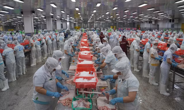 Ngày hội cá tra Đồng Tháp sẽ diễn ra vào giữa tháng 11/2024