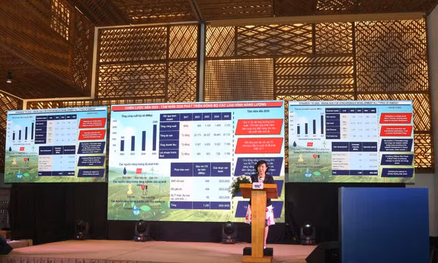 Hội nghị Nhà đầu tư Tập đoàn TTC (2021 - 2025)
