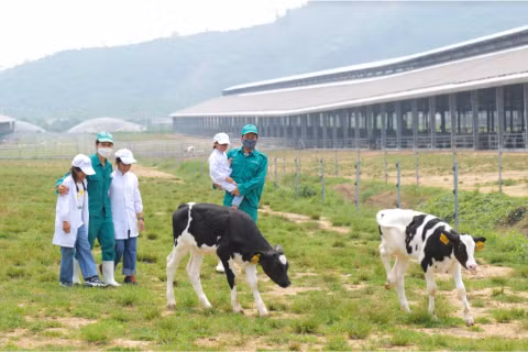 Vinamilk và Quỹ sữa Vươn cao Việt Nam tổ chức nhiều hoạt động đồng hành nhân dịp 15 năm thành lập