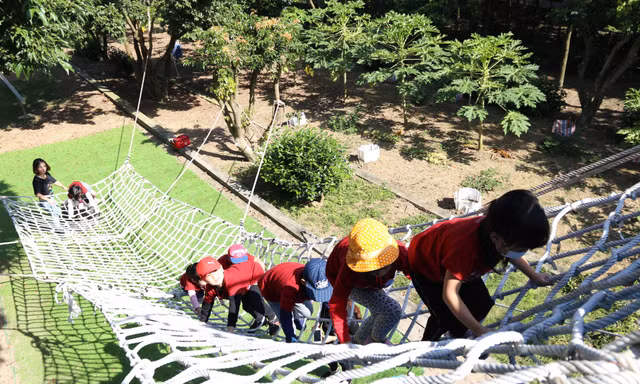 Alpha School triển khai hệ song ngữ Mỹ từ năm học 2022-2023