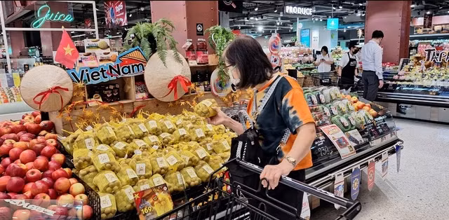 Xuất khẩu nông sản năm 2024 nhiều triển vọng, Kế toán Anpha cùng đồng hành