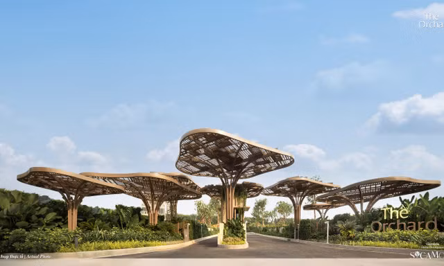 Tận hưởng nghệ thuật sống tinh tế tại Sycamore